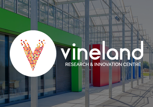 Vineland Research