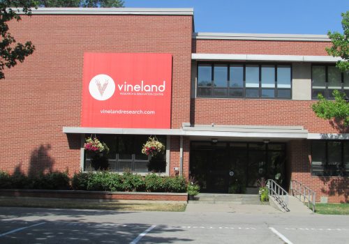 Vineland Administration building