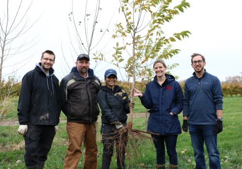Greening the landscape team