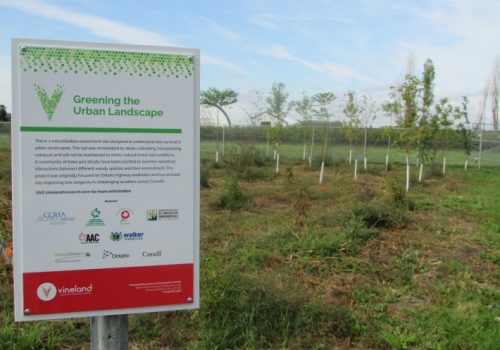 Greening the Landscape