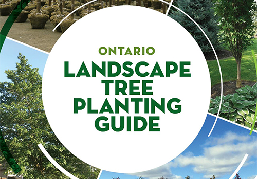 Ontario Landscape Tree Planting Guide