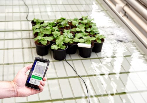 Smart irrigation system using cell phone