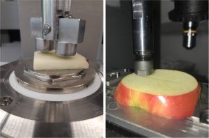 Collaboration key to apple texture breakthrough