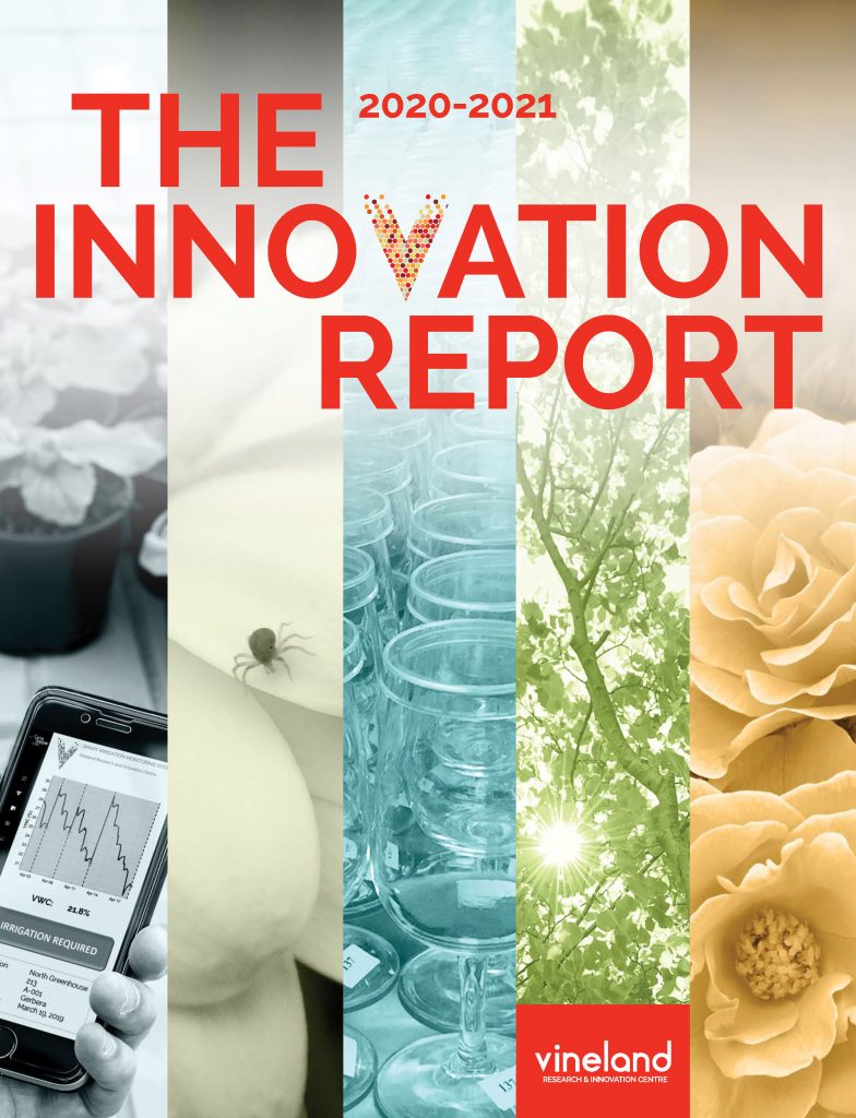 Innovate Report 2020-2021 Cover