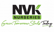 NVK Nurseries