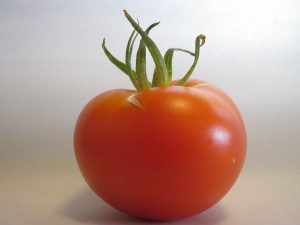 More than 15 million pounds of greenhouse tomatoes with minor cosmetic defects are landfilled annually