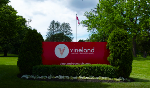 A day in the life of researchers at Vineland