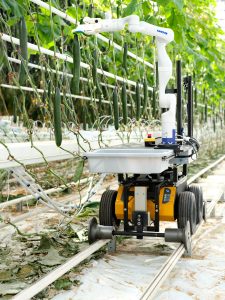 RFP – Robotic Greenhouse Vegetable Harvesting