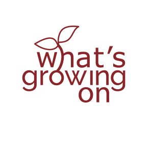 What's Growing On is back!