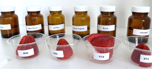 Case study highlighting a descriptive lexicon to describe the profile of fresh strawberries.