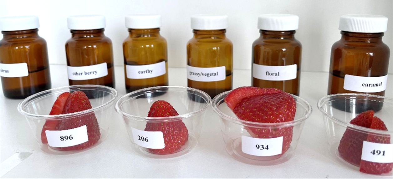 product-testing-vineland-research-and-innovation-centre