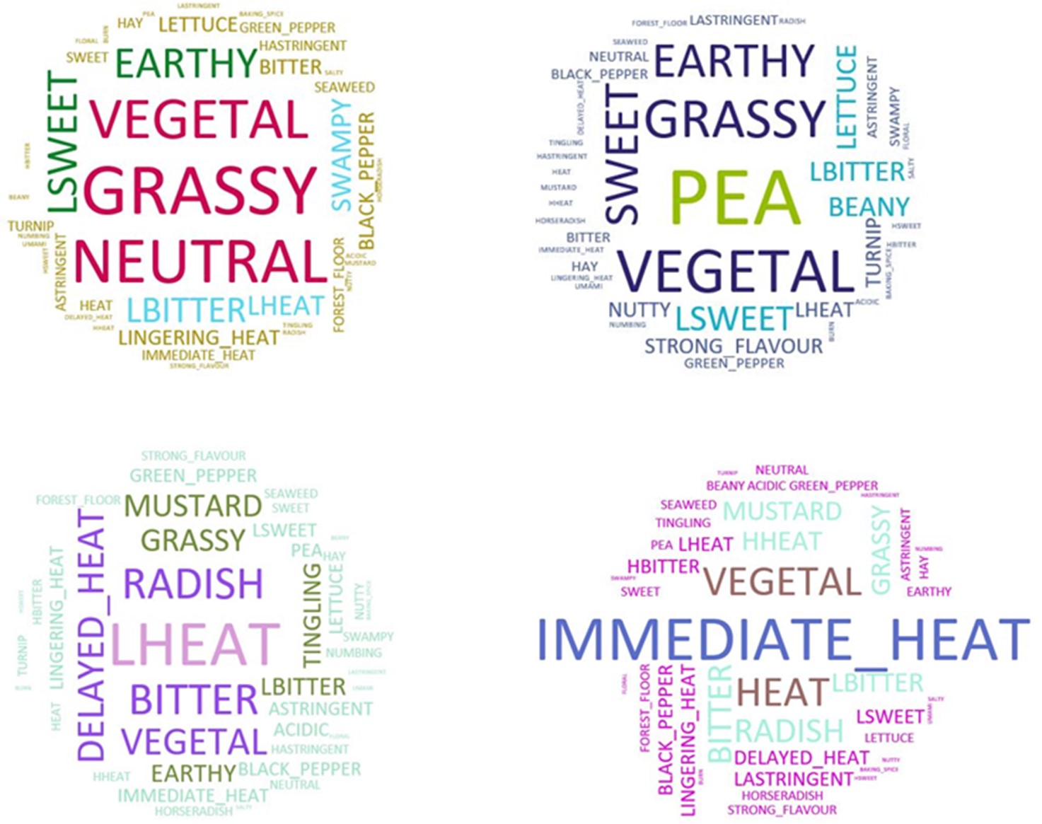 Fig 2. Word clouds of the panelists’ descriptions of the four representative samples. The larger the text, the more times that term was used to describe the sample. From left to right, top to bottom: micro broccoli, pea shoots, micro mustard and micro arugula.