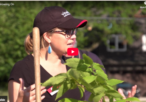 Screenshot of YouTube Thumbnail - shows close up image of woman in baseball cap speaking.