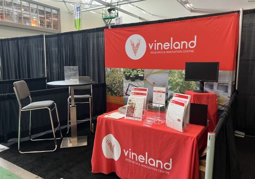 Exhibition display with a Vineland branded back drop and a table draped with a red, Vineland cloth.